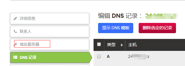 进入name.com域名服务器设置选项