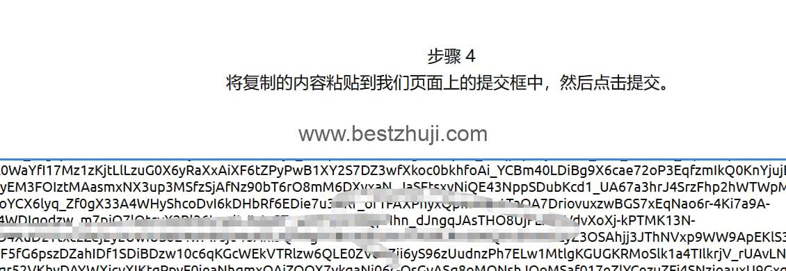 在wildai代充界面裡面粘貼session信息